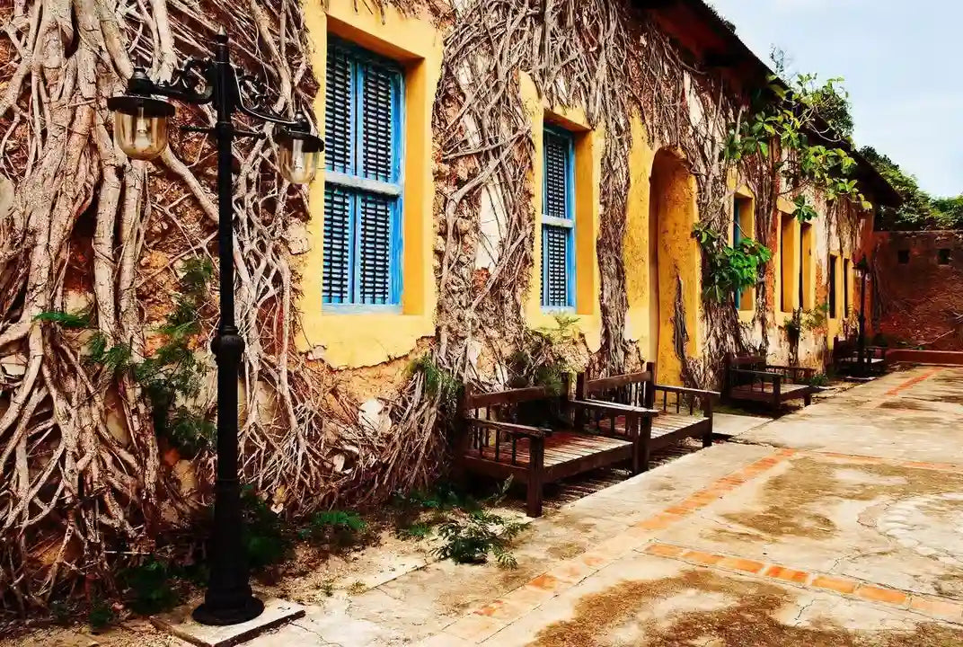 Zanzibar: Tur Privat ke Prison Island, Perkebunan Rempah, dan Berenang di Gua Kuza
