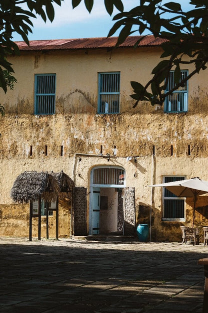 Zanzibar : excursion à Prison Island, Stone Town et marché nocturne de street food