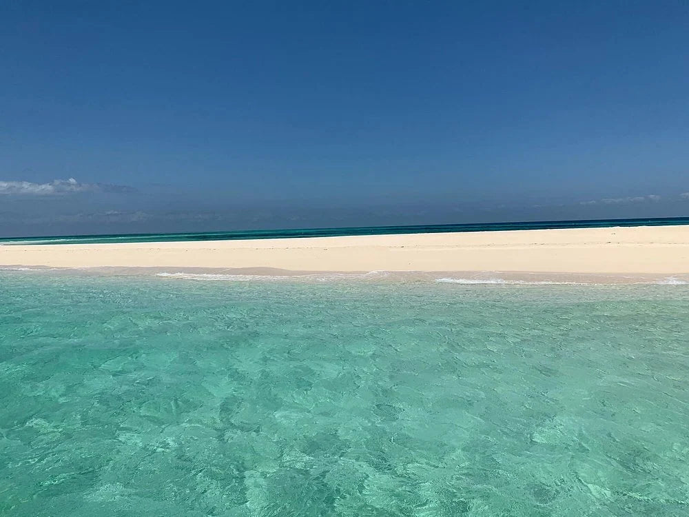 Zanzibar: Prison Island and Nakupenda Sandbank Guided Tour