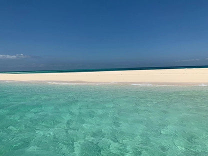Zanzibar: Prison Island and Nakupenda Sandbank Guided Tour