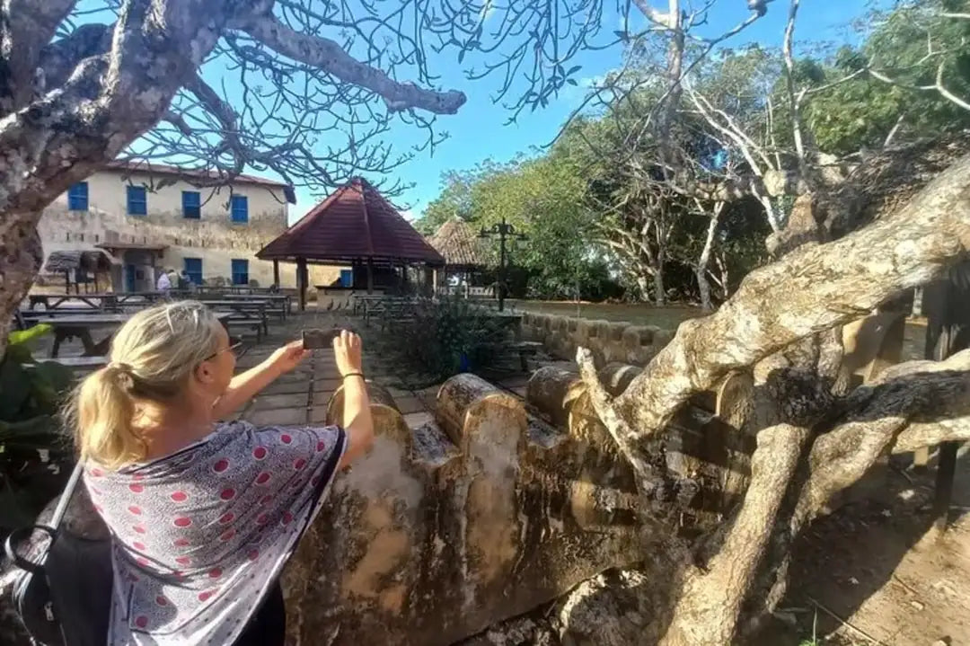 Zanzibar: Prison Island and Nakupenda Sandbank Guided Tour