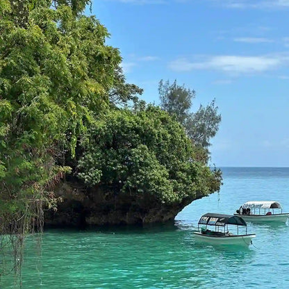 Zanzibar: Prison Island and Nakupenda Sandbank Guided Tour
