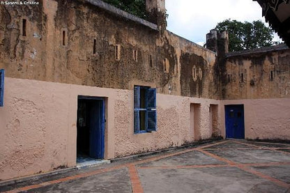 Zanzibar: Tour pela Prison Island e pelo Mercado de Comida de Stone Town