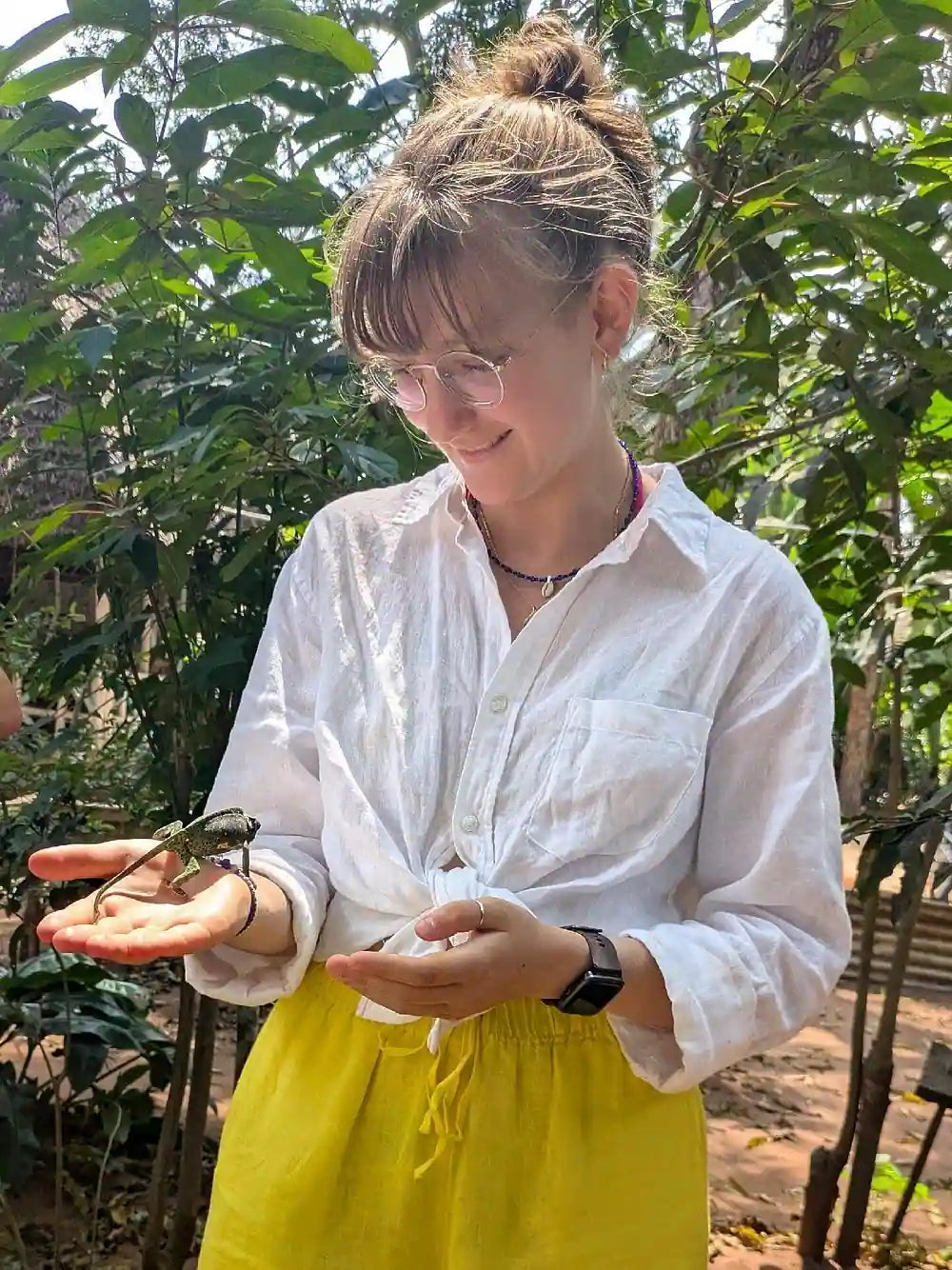 Zanzibar: Private Tour to Jozani Forest, Butterfly Centre and Salaam Cave