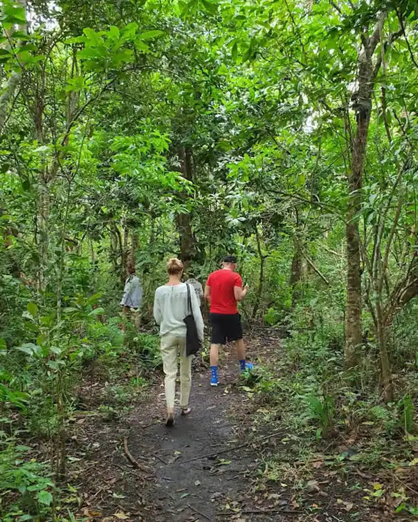 Zanzibar: Private Tour to Jozani Forest, Butterfly Centre and Salaam Cave