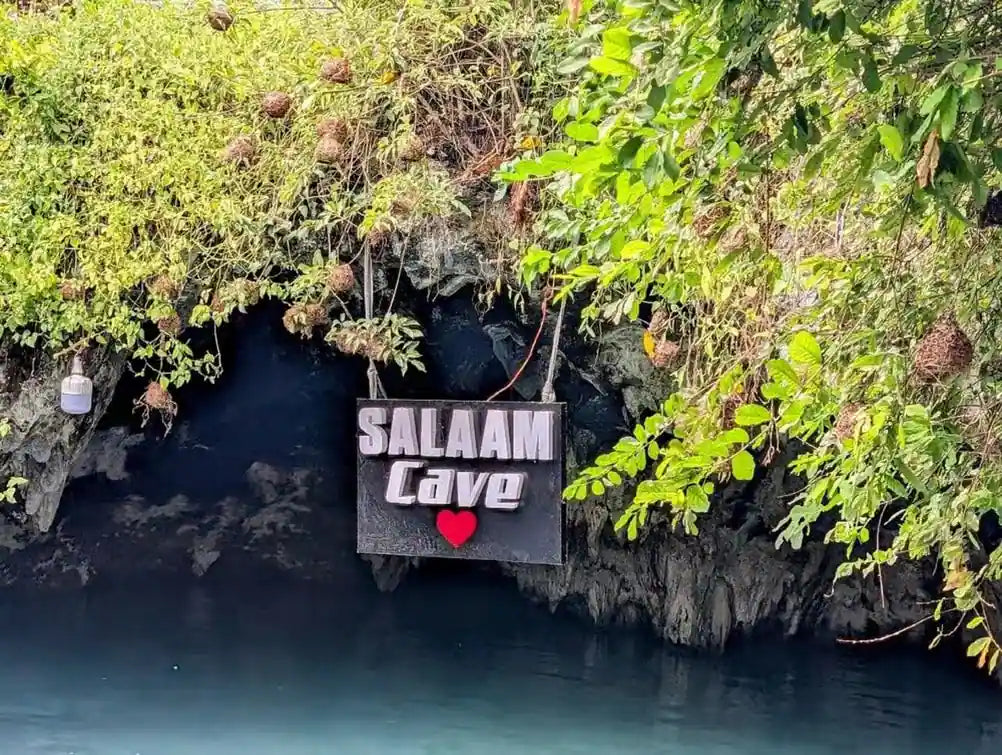 Zanzibar: Private Tour to Jozani Forest, Butterfly Centre and Salaam Cave