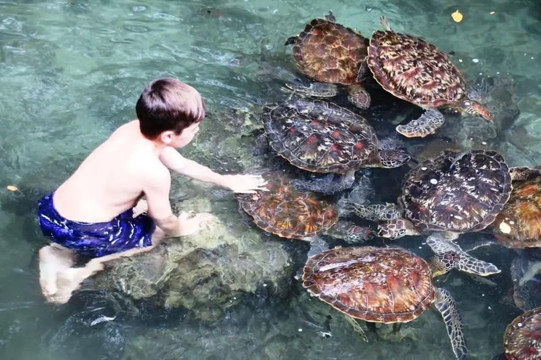 Zanzibar: Private Tour to Jozani Forest, Butterfly Centre and Salaam Cave