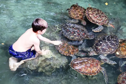 Zanzibar: Private Tour to Jozani Forest, Butterfly Centre and Salaam Cave