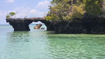Zanzibar: Safari Blue Cruise and Kwale Island Tour