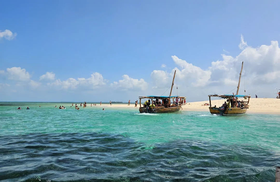 Zanzibar: Safari Blue Cruise and Kwale Island Tour