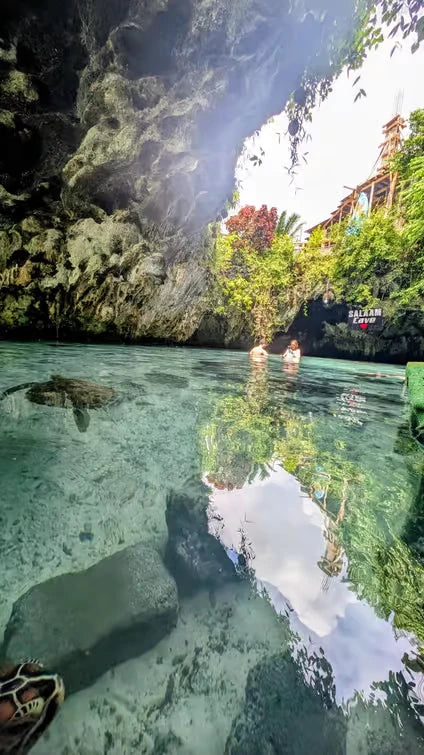 Zanzibar: Zwemervaring met schildpadden in de Salaam-grot