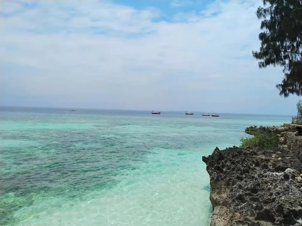 Zanzibar: Zwemervaring met schildpadden in de Salaam-grot
