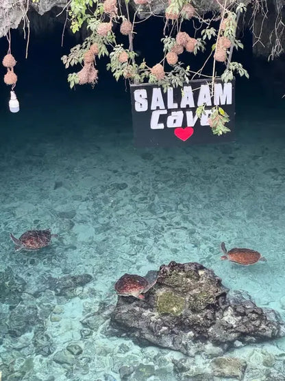 Zanzibar: Zwemervaring met schildpadden in de Salaam-grot