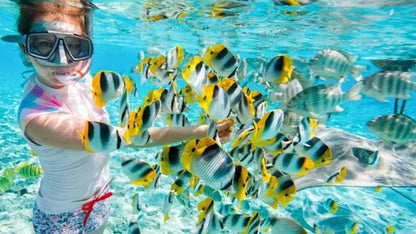 Zanzibar: Stone Town Coastal Cruise and Snorkeling Trip