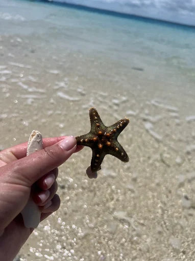 Zanzibar: Stone Town, Spice Farm and Nakupenda Sandbank Tour
