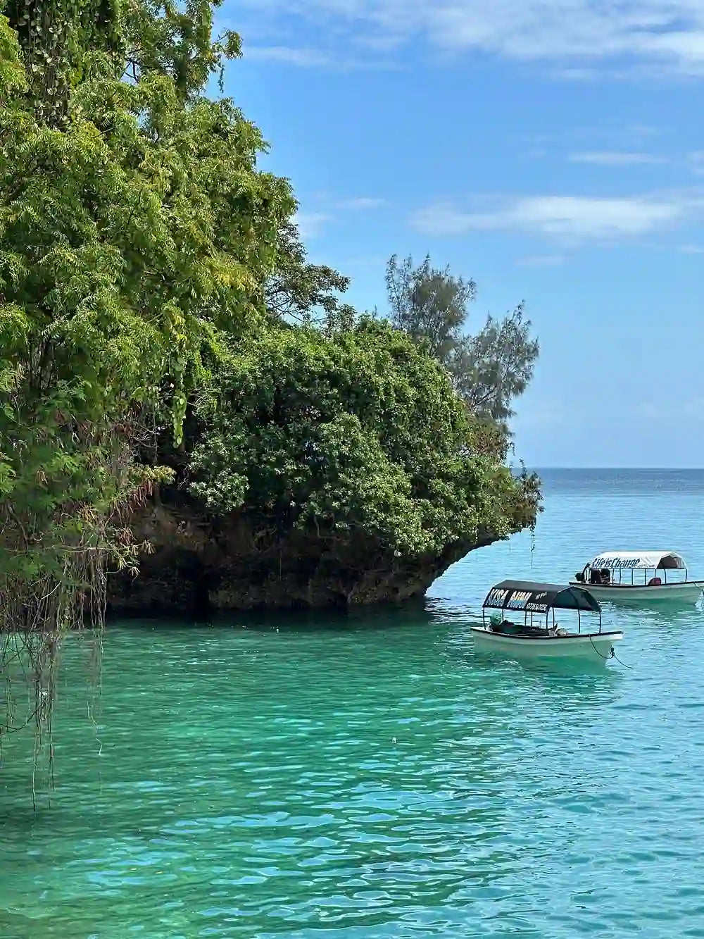 Zanzibar: Stone Town, Spice Farm and Nakupenda Sandbank Tour
