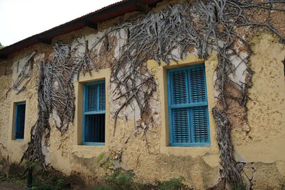 Zanzibar: Stone Town, Spice Farm and Nakupenda Sandbank Tour