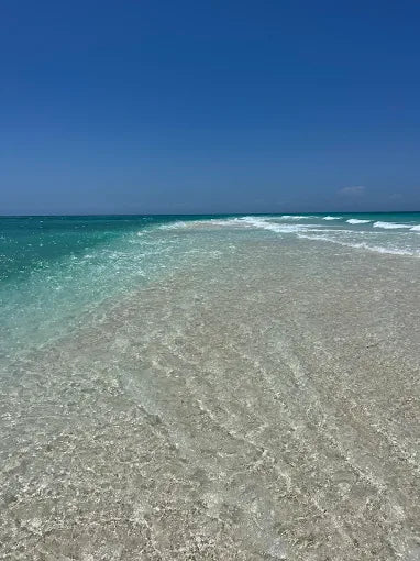 Zanzibar: Stone Town, Spice Farm and Nakupenda Sandbank Tour