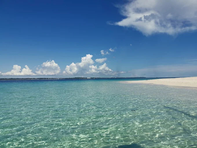Zanzibar: Stone Town, Spice Farm and Nakupenda Sandbank Tour