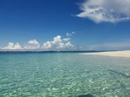 Zanzibar: Stone Town, Spice Farm and Nakupenda Sandbank Tour