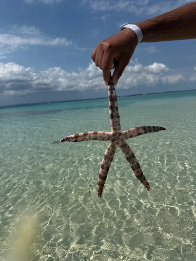 Zanzibar: Stone Town, Spice Farm and Nakupenda Sandbank Tour