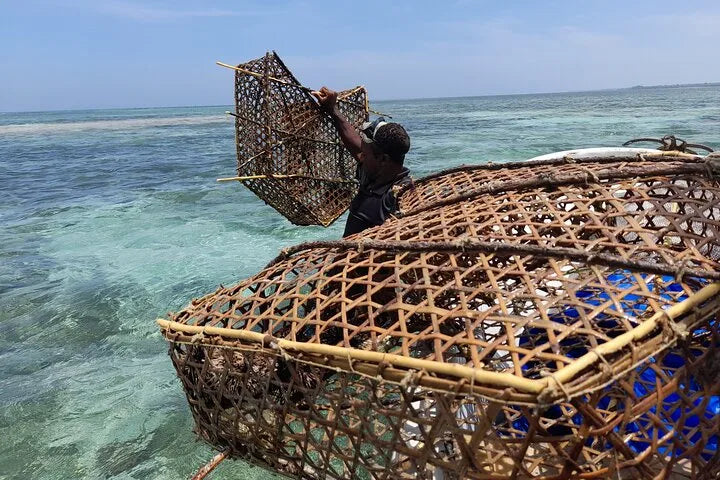 Zanzibar: Privat kulturutflykt till ön Tumbatu