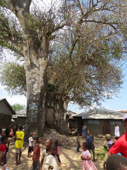 Zanzibar: Privat kulturutflykt till ön Tumbatu