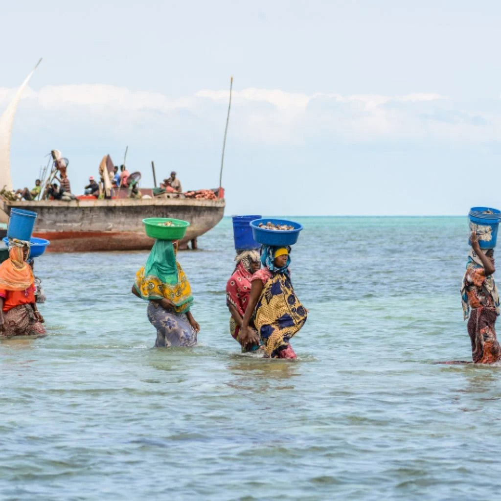 Zanzibar: Privat kulturutflykt till ön Tumbatu
