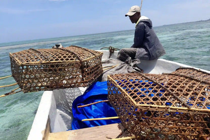 Zanzibar: Privat kulturutflykt till ön Tumbatu