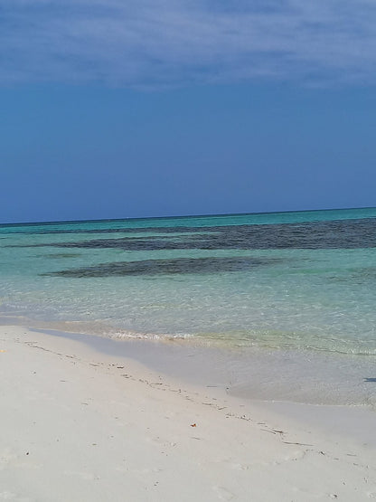 Zanzibar: tour privato di snorkeling sull’isola di Tumbatu