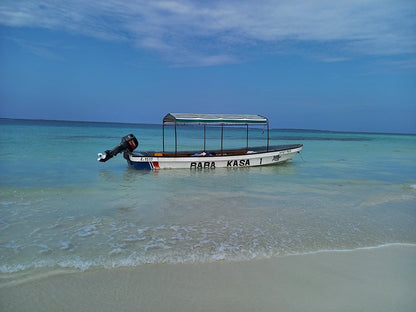 Zanzibar: tour privato di snorkeling sull’isola di Tumbatu