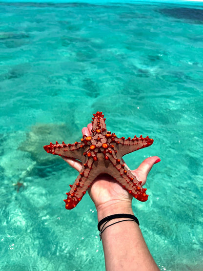 Zanzibar: tour privato di snorkeling sull’isola di Tumbatu