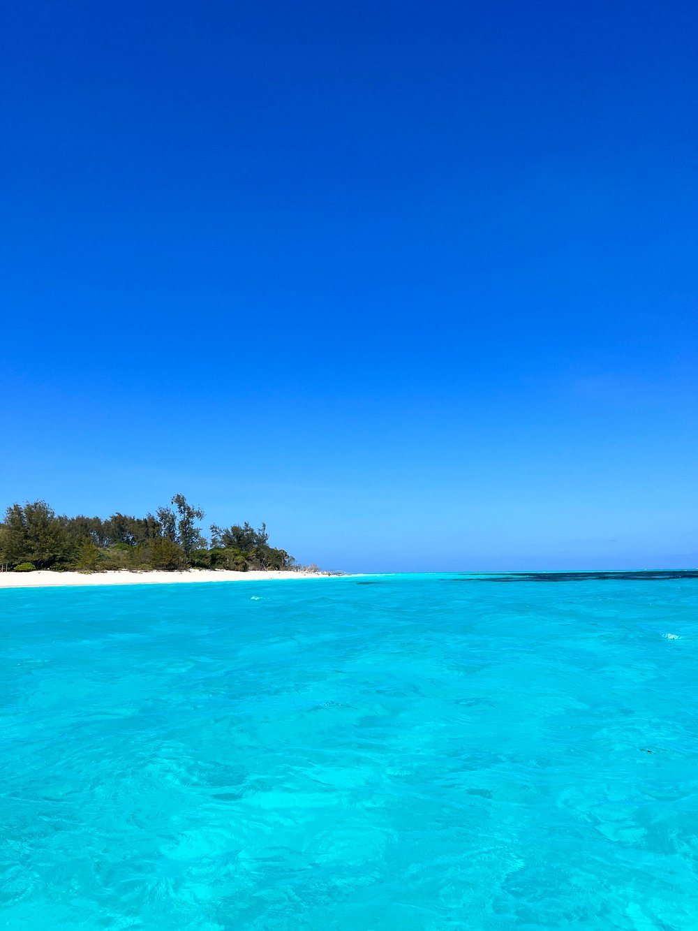 Zanzibar: tour privato di snorkeling sull’isola di Tumbatu