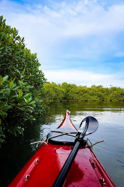 Zanzibar: Uzi Island Mangrove Kayak and Village Tour with Tropical Fruit Lunch