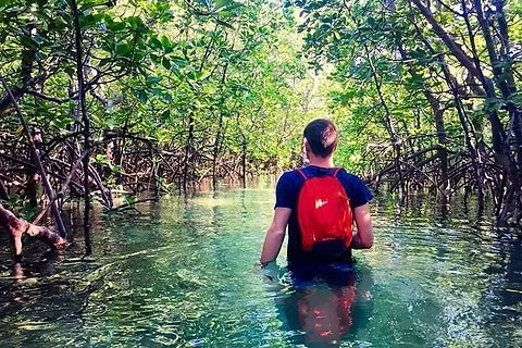 Zanzibar: Uzi Island Mangrove Kayak and Village Tour with Tropical Fruit Lunch