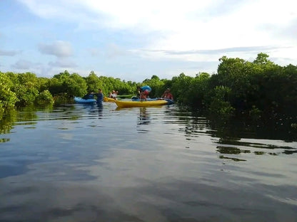 Zanzibar: Uzi Island Mangrove Kayak and Village Tour with Tropical Fruit Lunch