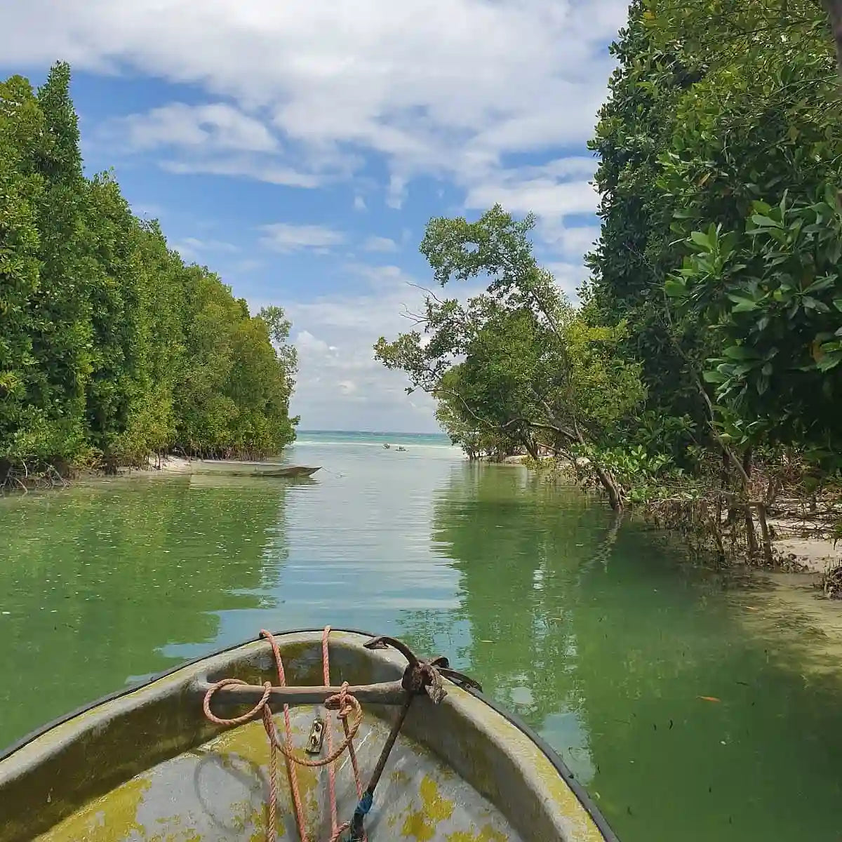Zanzibar: Uzi Island Mangrove Kayak and Village Tour with Tropical Fruit Lunch