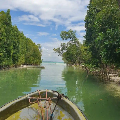 Zanzibar: Uzi Island Mangrove Kayak and Village Tour with Tropical Fruit Lunch