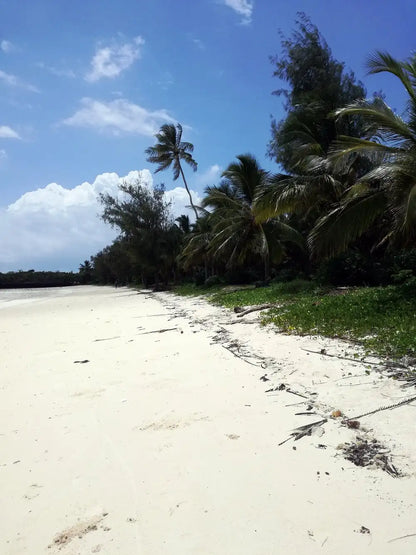 Zanzibar: Uzi Island Mangrove Kayak and Village Tour with Tropical Fruit Lunch