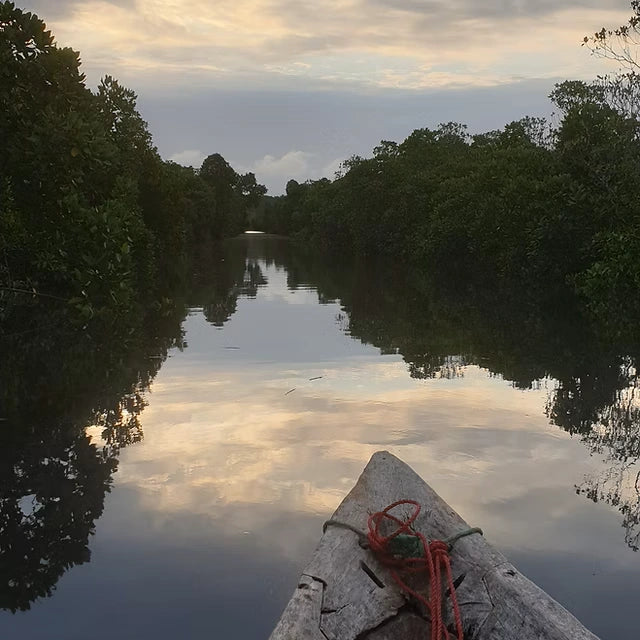 Zanzibar: Uzi Island Mangrove Kayak and Village Tour with Tropical Fruit Lunch