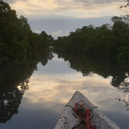 Zanzibar: Uzi Island Mangrove Kayak and Village Tour with Tropical Fruit Lunch