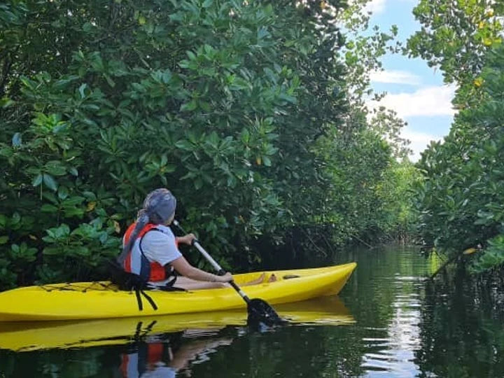 Zanzibar: Uzi Mangrove Kayaking and Spice Farm Private Tour with Swahili Lunch