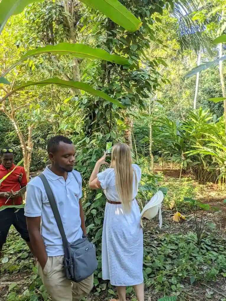 Zanzibar: Uzi Mangrove Kayaking and Spice Farm Private Tour with Swahili Lunch