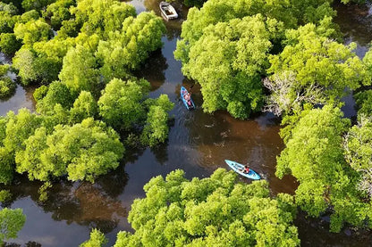 Zanzibar: Uzi Mangrove Kayaking and Spice Farm Private Tour with Swahili Lunch