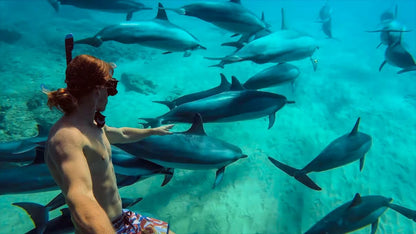 Zanzibar: visita ai delfini di Mnemba, alla foresta di Jozani e alla grotta di Kuza