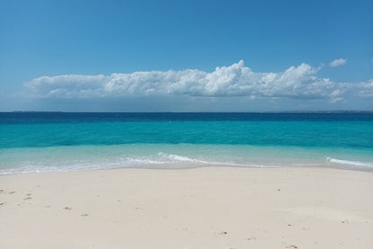 Zanzibar: crociera di snorkeling all’isola di Bawe e alla lingua di sabbia di Nyange con pranzo