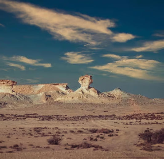 Doha: Westküste Katar, Kamelrennen und Wüstenskulpturen