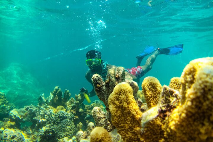 Zanzibar: Tour di avvistamento delfini e snorkeling all'Atollo di Mnemba da Nungwi