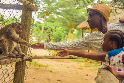 Dar es Salaam: gita privata di un giorno allo zoo e a cavallo