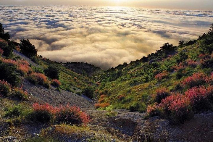 Beirut: Deir el Qamar, Beiteddine-Palast und Chouf Cedars Forest Experience